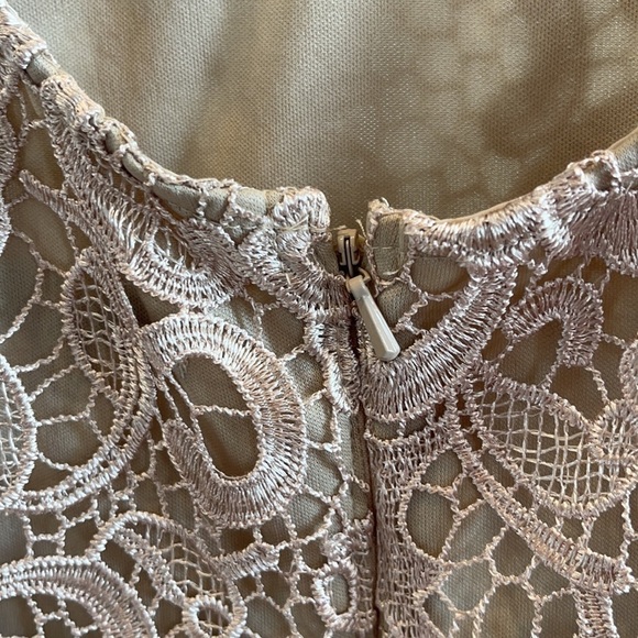 Joanna Hope Embroidered  Lace Ilusion Sheath Dress - Picture 6 of 10